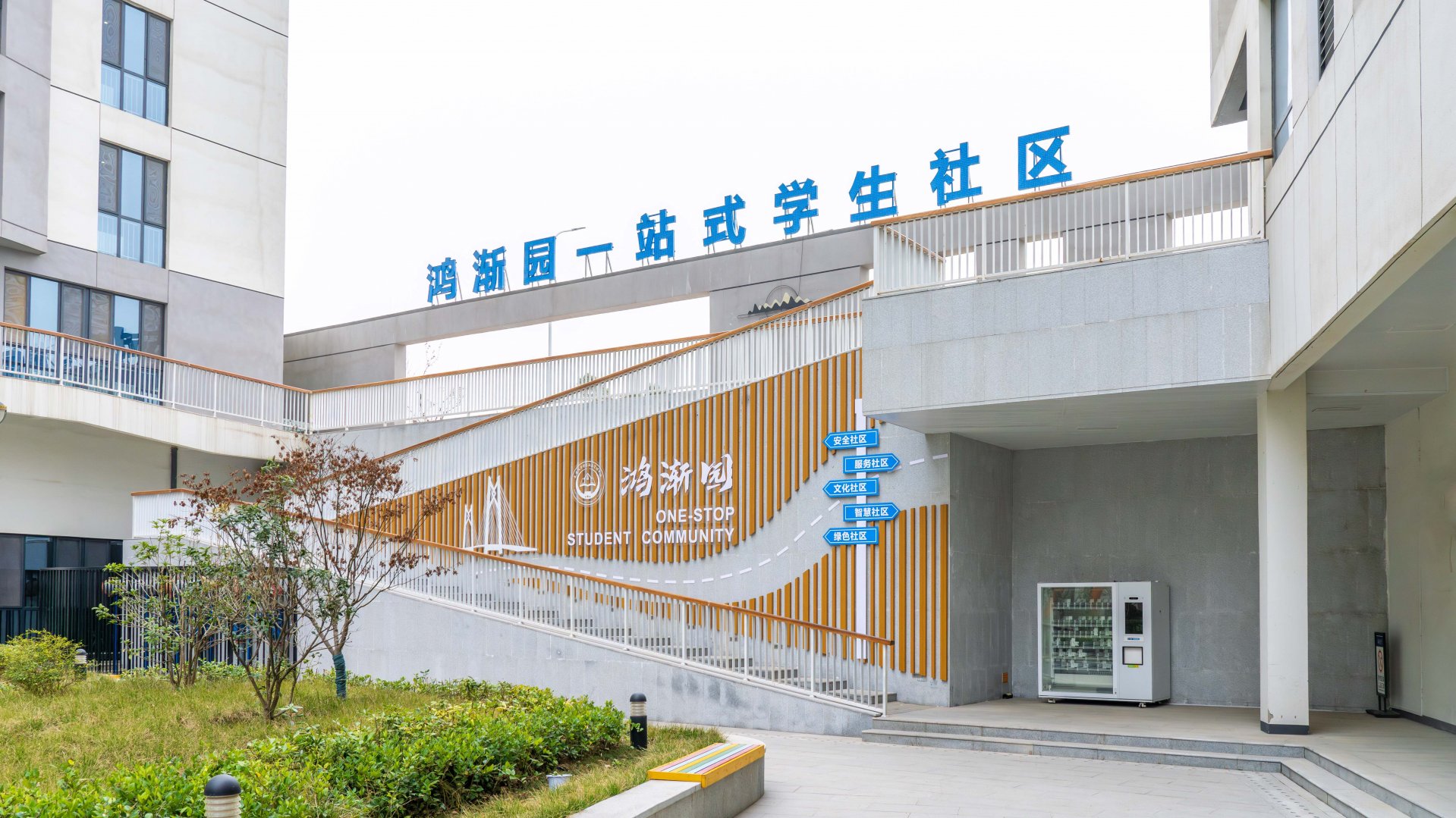 bet韦德官网新手怎么玩