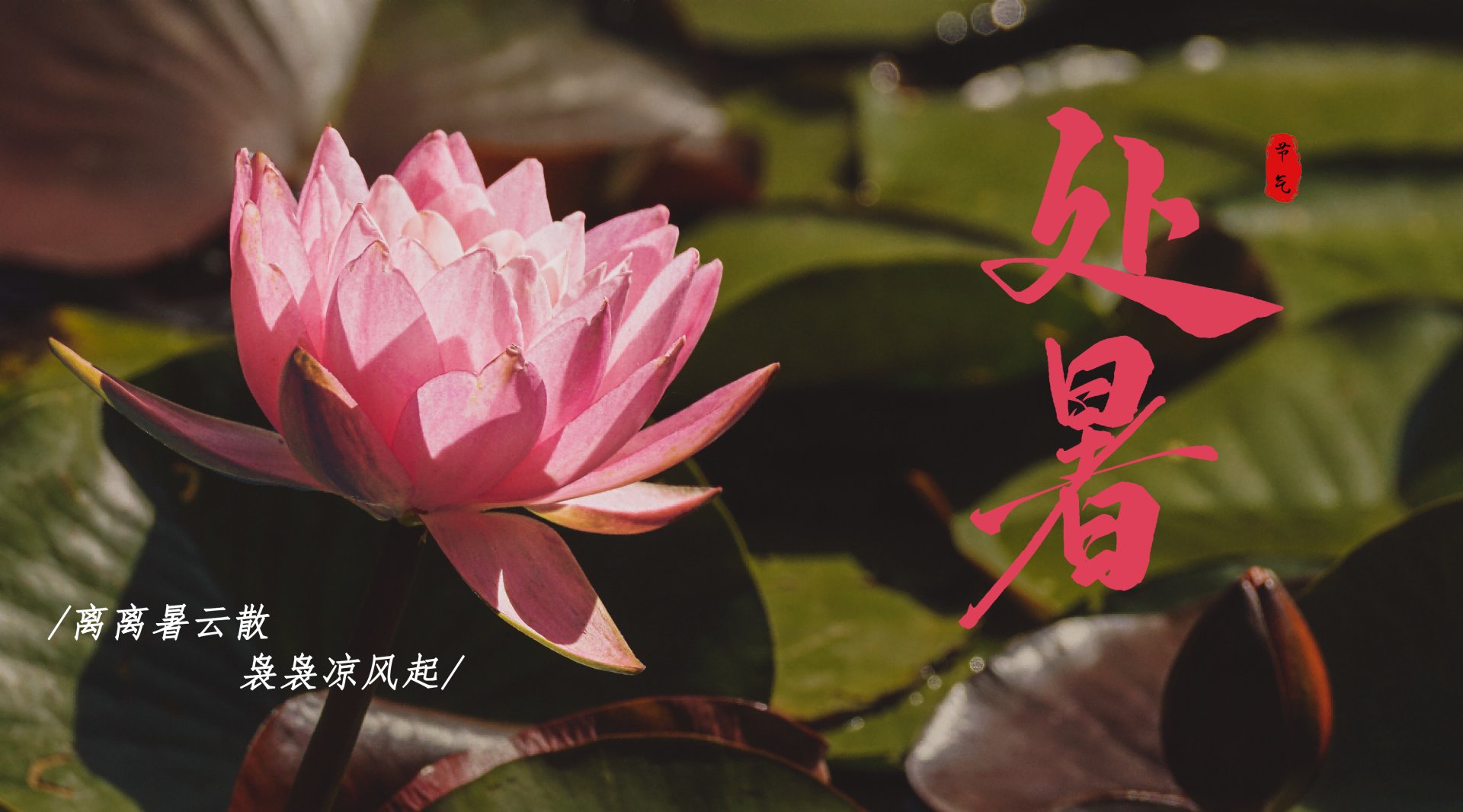 开启长大新篇章